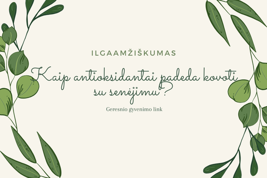 Ilgaamžiškumas